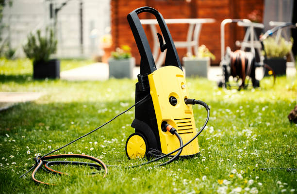 Animal Enclosure Cleaning in Purdy, WA